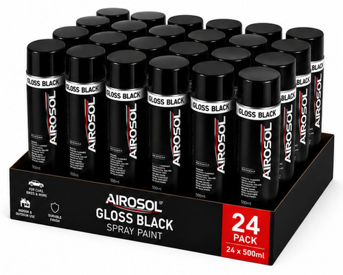 Gloss black aerosol spray - 24,