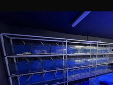 aquarium rack system