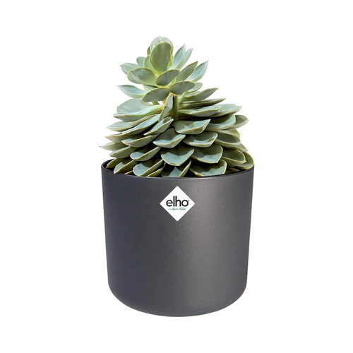 Elho for soft - elho, b.for