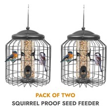 Squirrel proof hanging - squirrel,