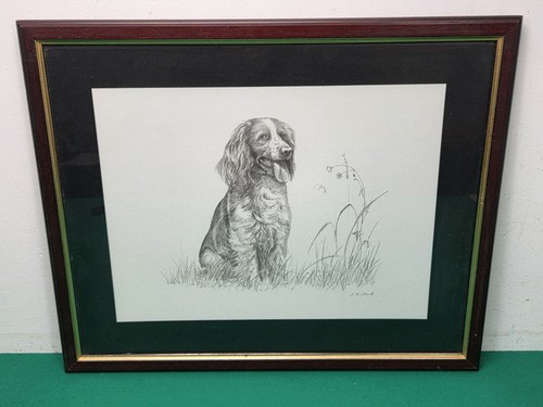 Framed springer spaniel print - framed,