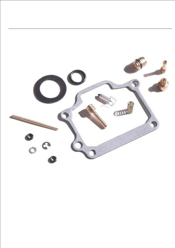 Carb carburettor rebuild kit - carb,