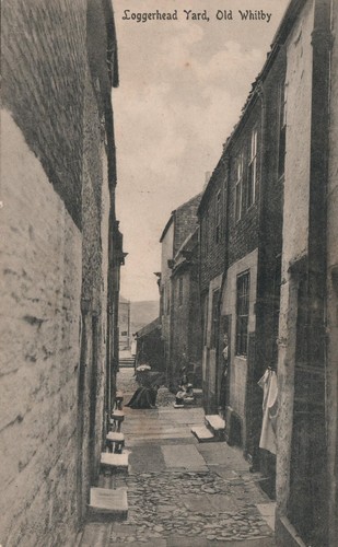 Vintage 1908 loggerhead yard - loggerhead,