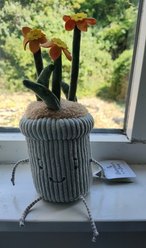 Bunnies the bay window - ,