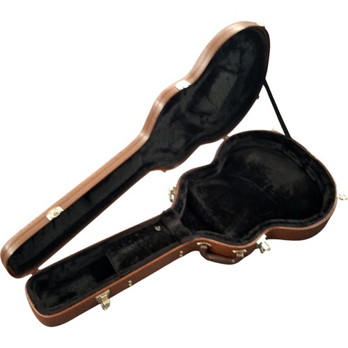 Guitar hard case - guitar,