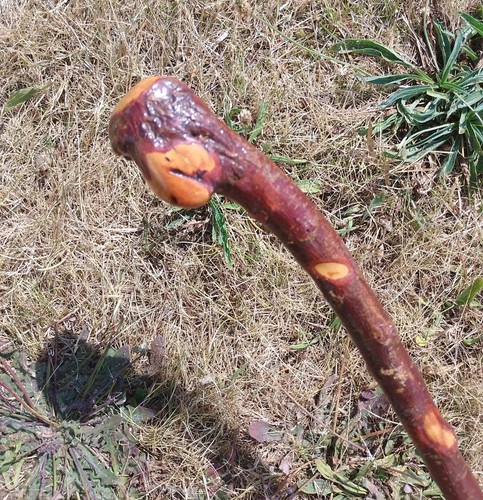 Vintage wooden shillelagh - vintage,
