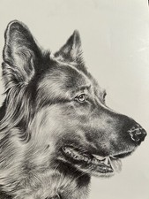 German Shepherd signed print by Joel Kirk