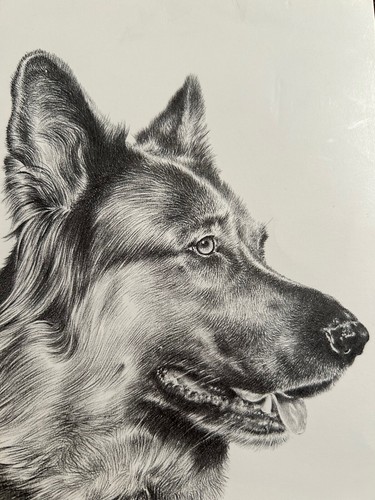 German shepherd signed print - shepherd,