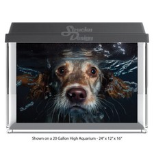 Black Brown Swimming Deep