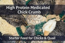 Medicated Quail Chick Starter