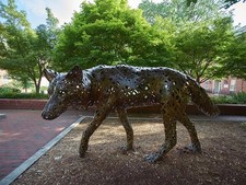Photo:Raleigh North Carolina