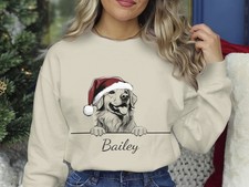 Golden Retriever Christmas Sweatshirt Personalised Dog Name Santa Gift Jumper