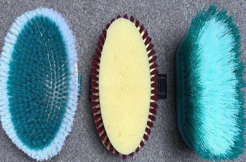 Equerry horse grooming brush - equerry,