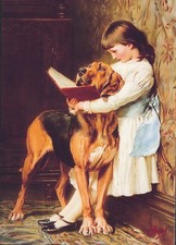 Mounted Ready to Frame 7x5