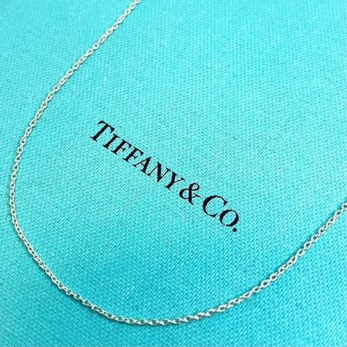 Tiffany simple chain - &, co.