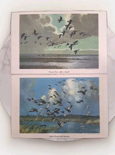 Lot peter scott 52 - peter,