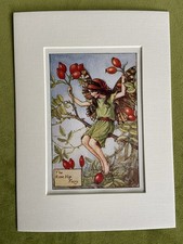 Rose hip flower fairy - ‘rose,