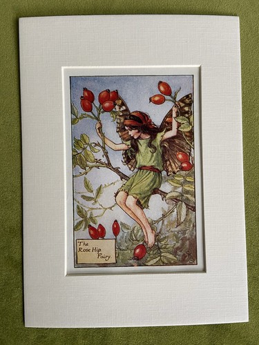 Rose hip flower fairy - ‘rose,