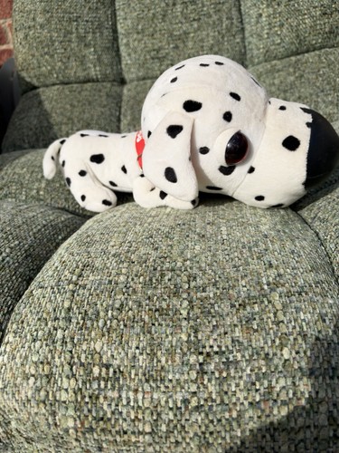 Artlist collection the dog - artlist, "the