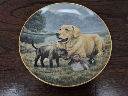 Franklin mint labrador - franklin, plate