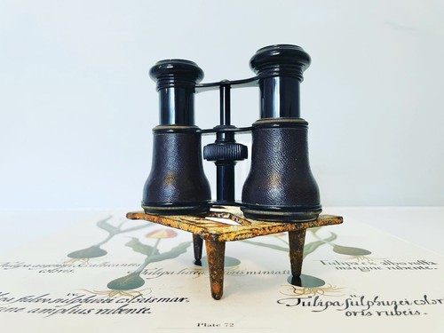 Opera theatre glasses leather - opera/theatre,