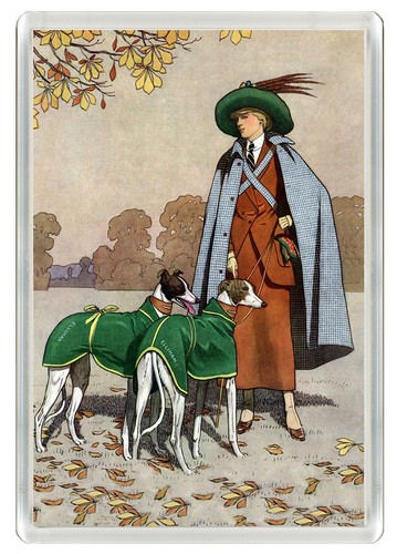 Greyhound lady dogs - lady,