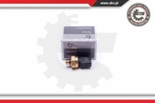 17SKV624 ESEN SKV Sensor, fuel