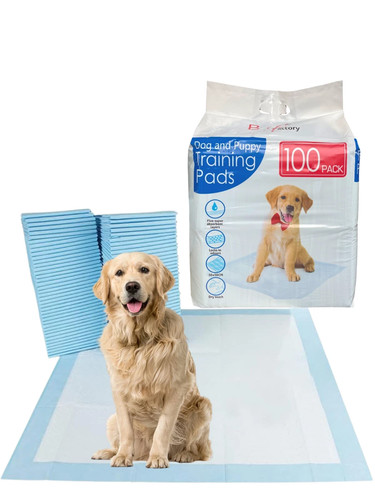 100 large puppy training - large,