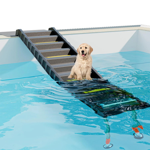 Foldable dog pool - foldable,
