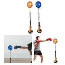 Reflex Boxing Ball Punching