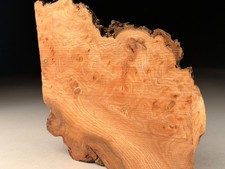 Live Edge Burr Elm Resin