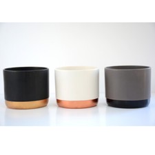 Ceramic indoor house plants - indoor,