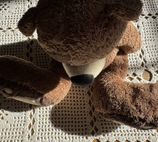 Teddy Big Foot Used Lovely