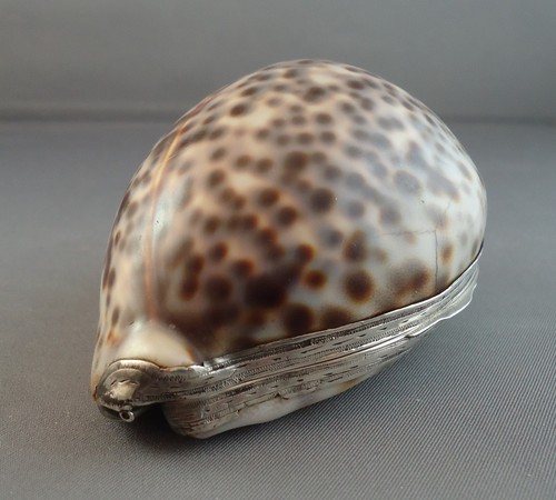 18th century scottish - century, cowrie
