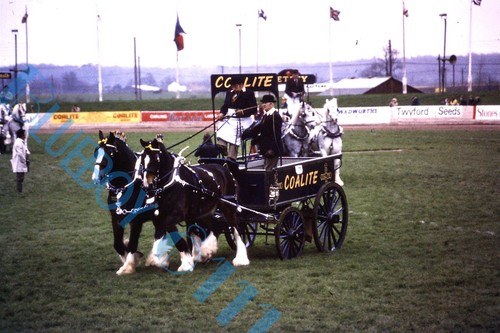 Coalite coal horse drawn dray - drawn,