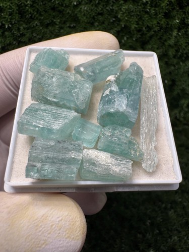Rare aquamarine lot 10 - lot,