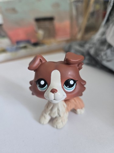 Authentic lps littlest pet - authentic,