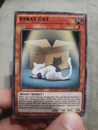 Yugioh card stray - yugioh, anime