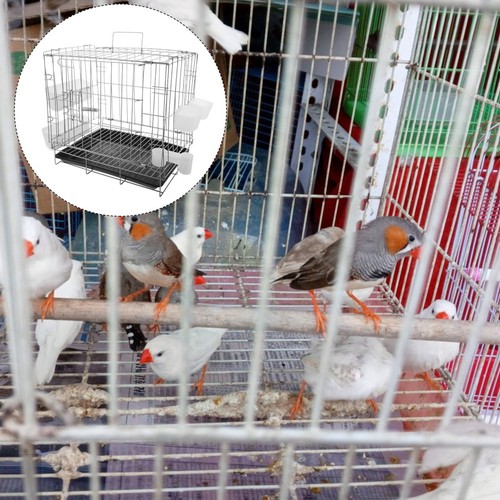 Bird breeding crate - crate, pigeon