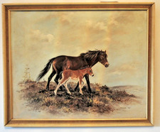 Exmoor Pony Mare with Foal