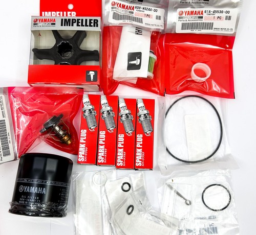 Genuine yamaha 300hr annual - genuine,