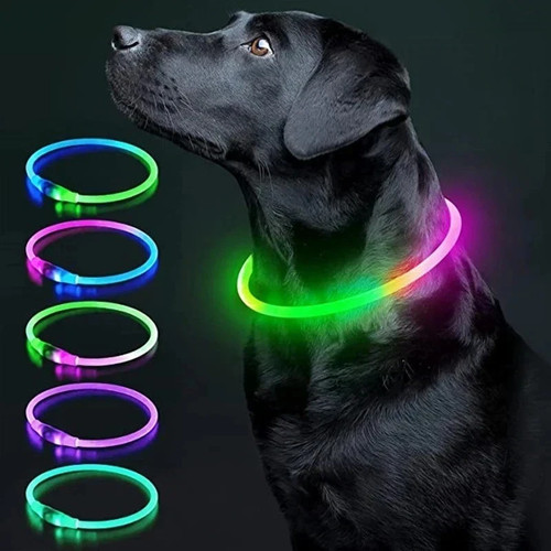 Led dog collar flashing - collar, light