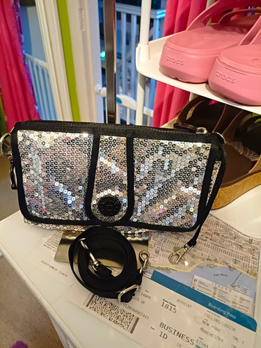 Kipling silver sequin - silver,