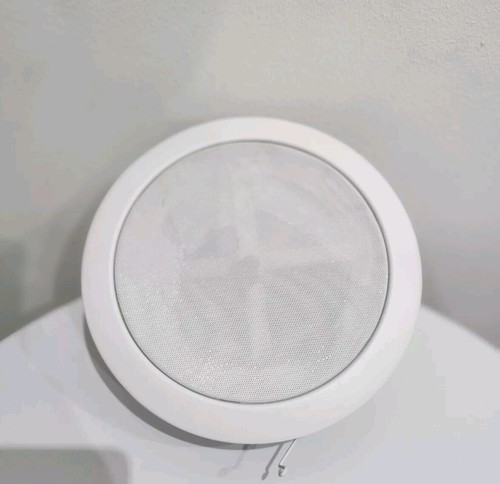 Ceiling speaker - ceiling,
