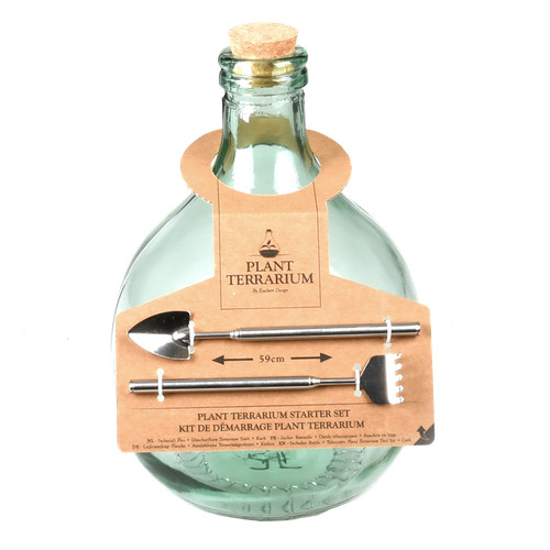 Glass terrarium kit bottle - terrarium,