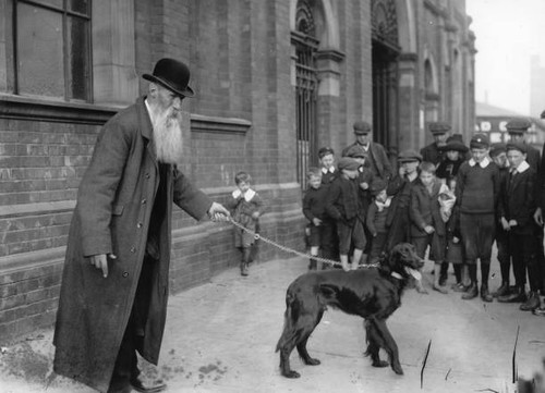 Bond his irish setter - irish,