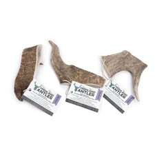 Highland FALLOW ANTLER MEDIUM