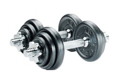 York 20kg Dumbbell Weight Set Home Gym Lifting Cast Iron Plates w/ Metal Collars