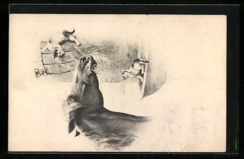 Artist postcard horse looking