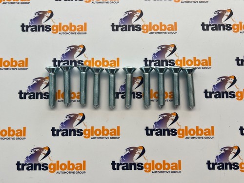 Door hinge bolts screws x10 - door,